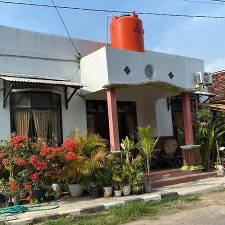 Owl Hostel Îles Karimunjawa Extérieur photo