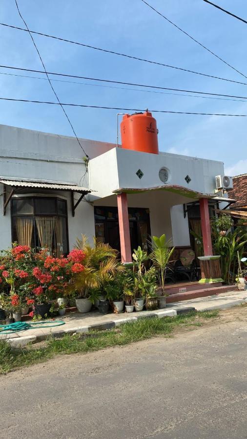 Owl Hostel Îles Karimunjawa Extérieur photo
